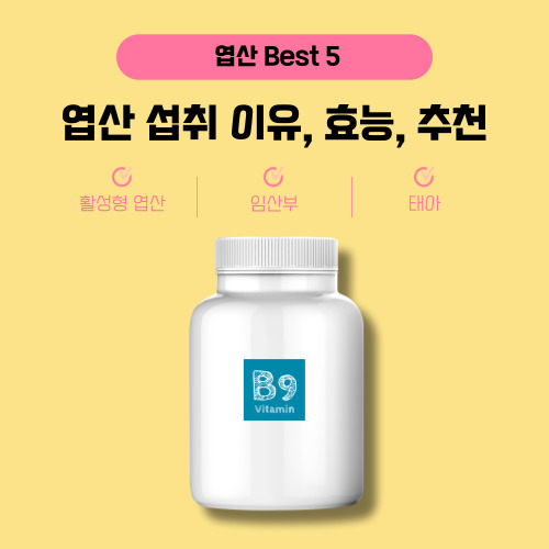 BEST 5 엽산 추천, 효능, 임신, 부작용 및 활성형 영양제 구매 가이드 (2024)